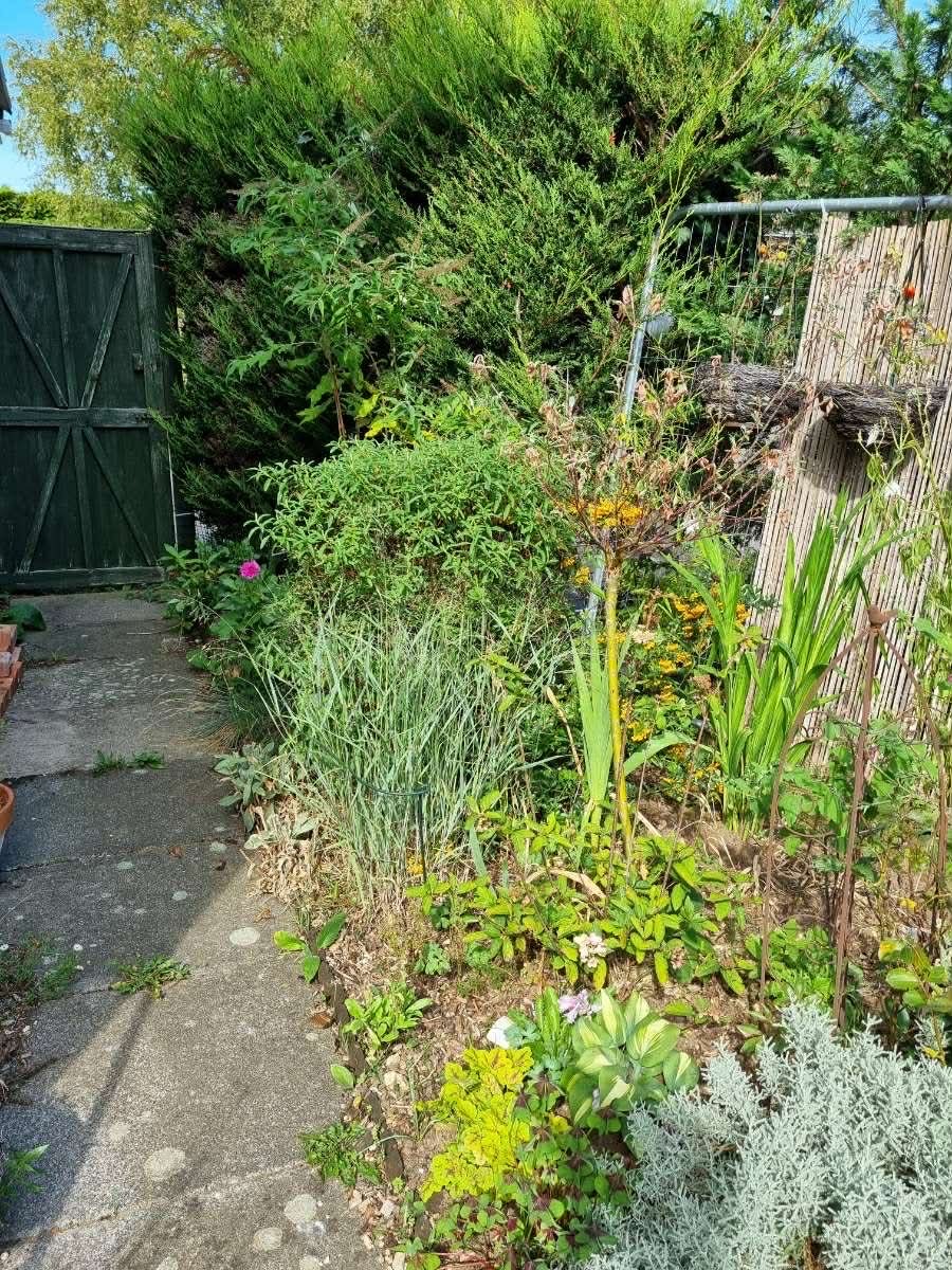 Laura's Gardening Services gallery image 4