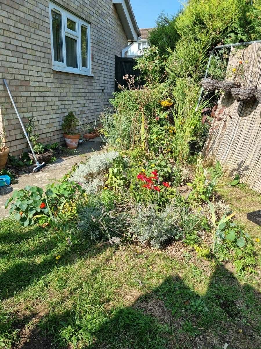 Laura's Gardening Services gallery image 5